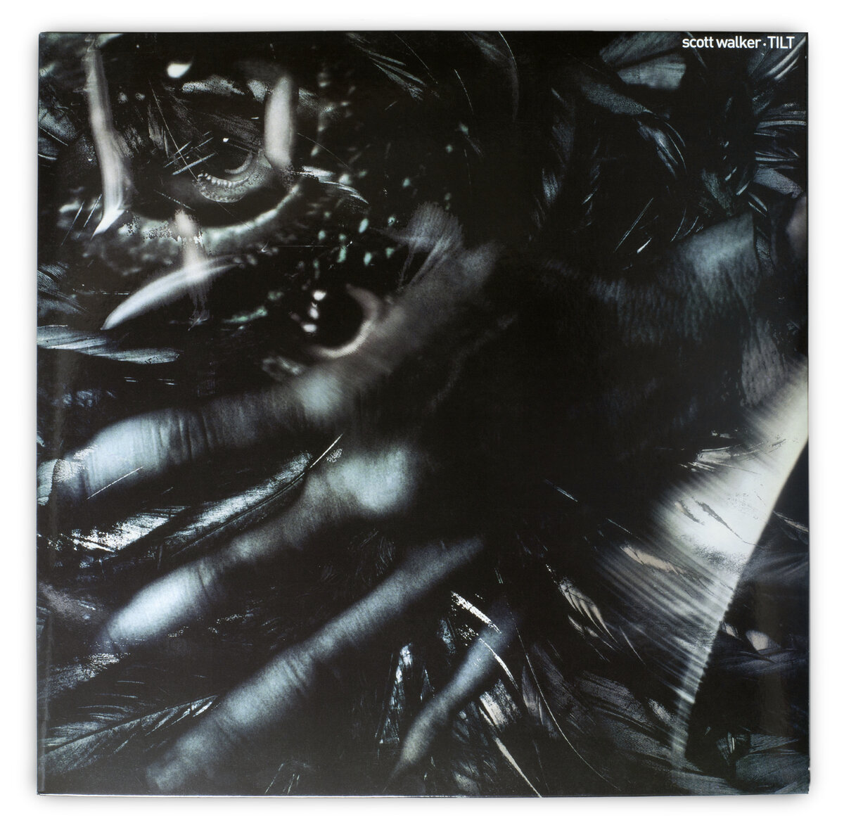 A vinyl record by Scott Walker