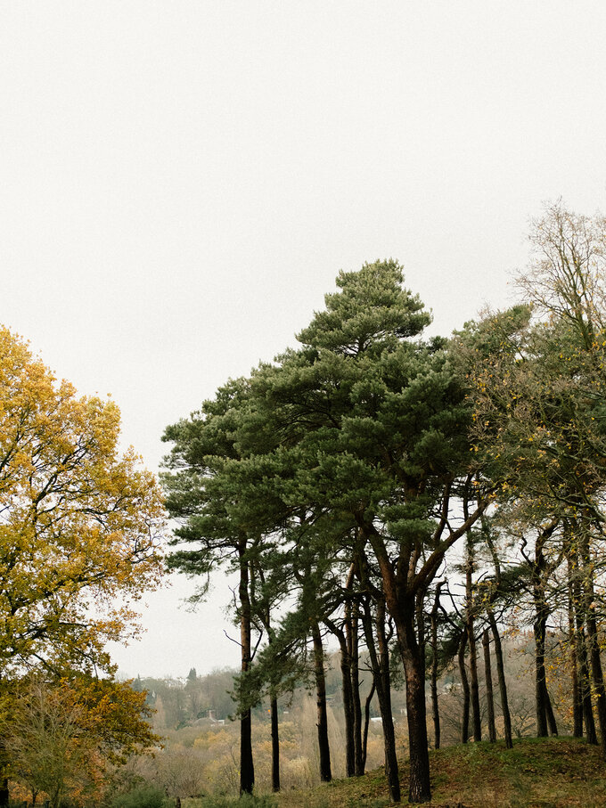 LRM2018069 D 0016 1600